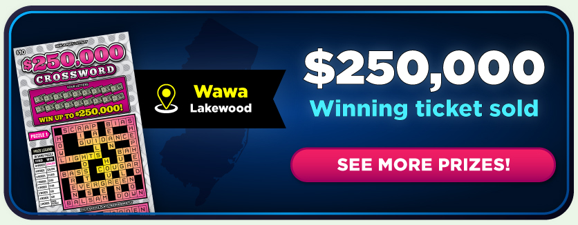 $650,000 Winning Ticket Sold! See more prizes