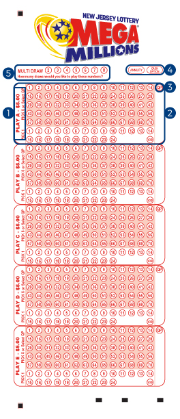 Mega Millions play slip