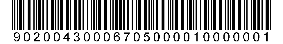 9020043006705000010000001