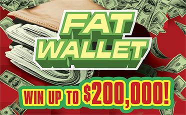 Fat Wallet ticket